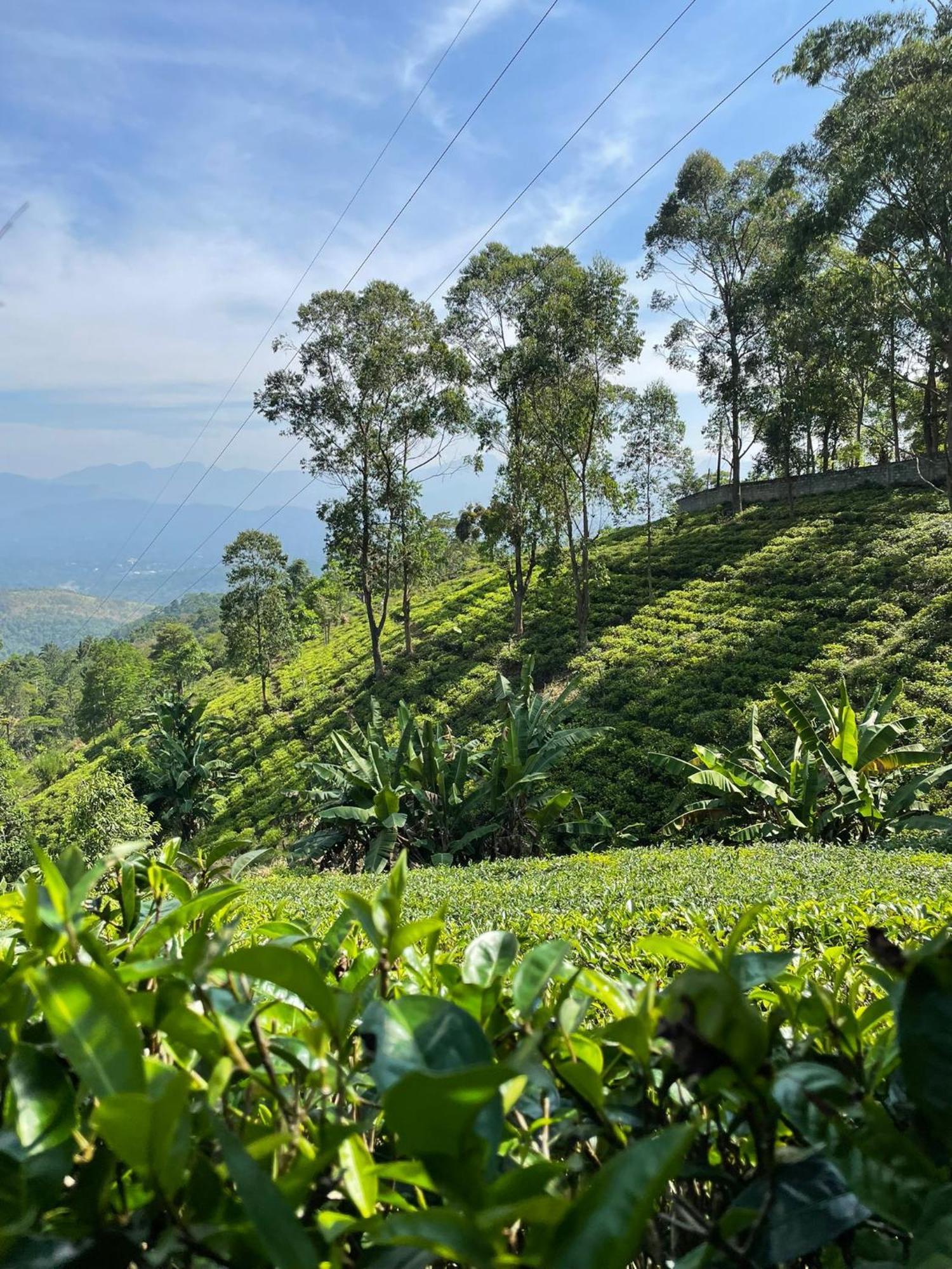 Bellwood Hills Resort & Spa Kandy Bagian luar foto