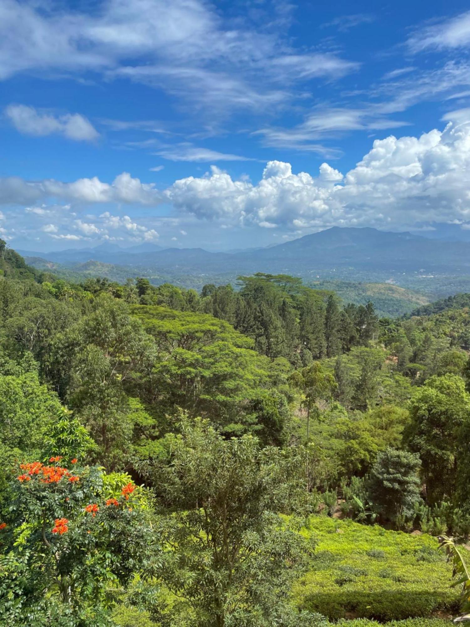 Bellwood Hills Resort & Spa Kandy Bagian luar foto