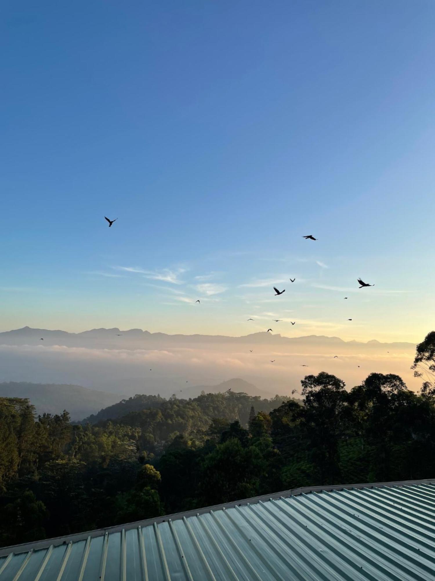 Bellwood Hills Resort & Spa Kandy Bagian luar foto